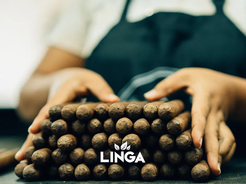 About Linga